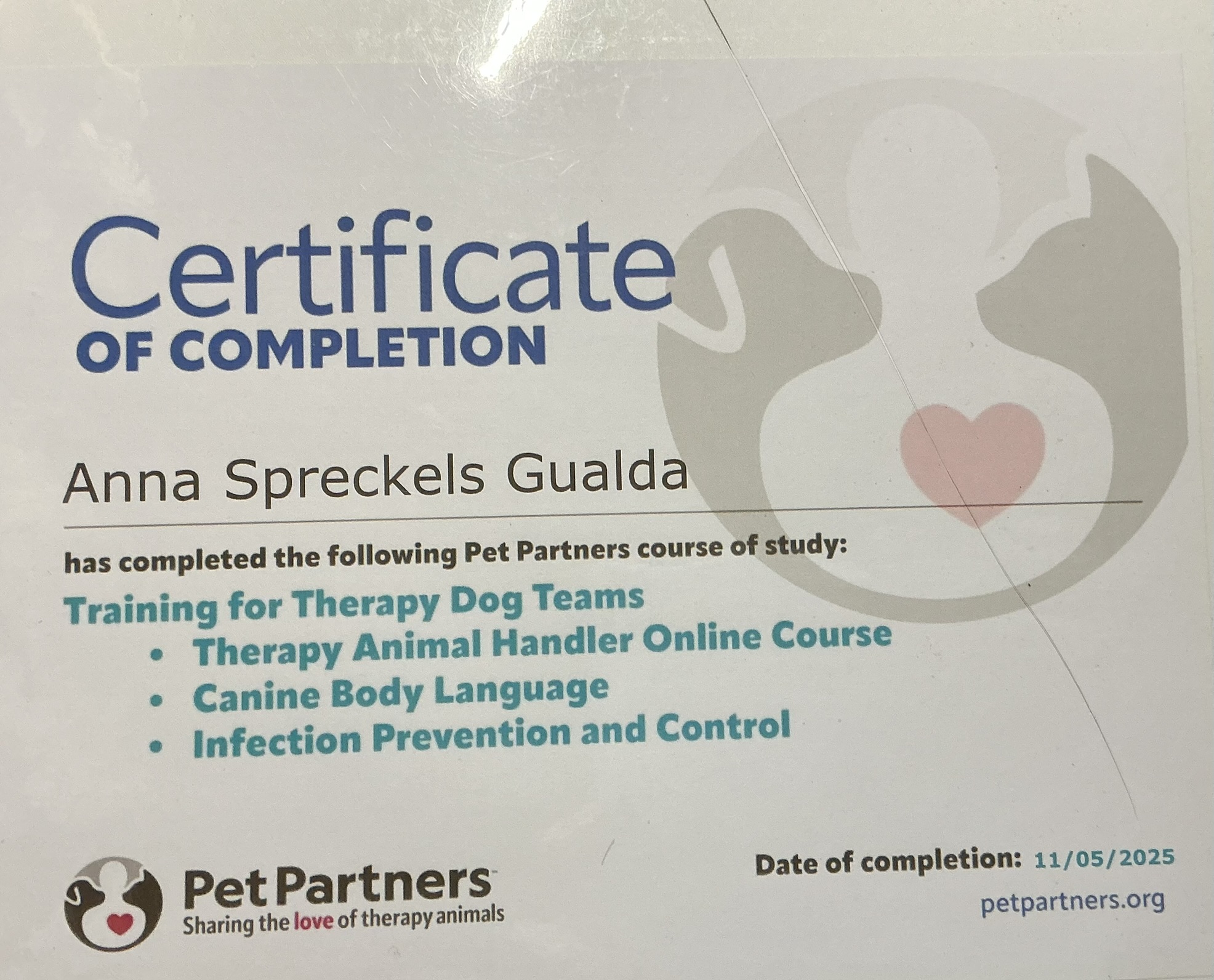 I Completed the Pet Partners Handler Training! 🐾 – Anna & Esther ...